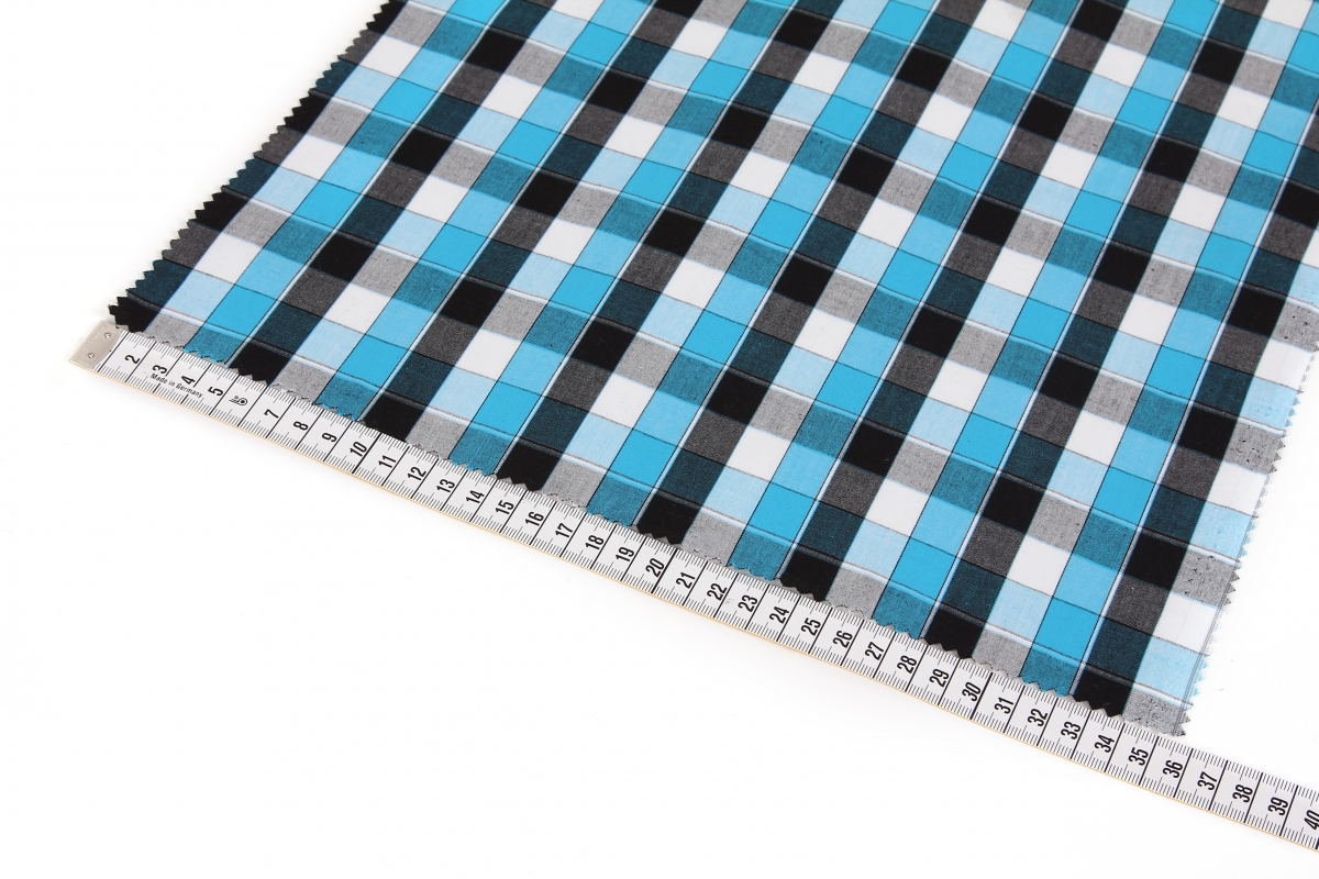 Blue and Black Check