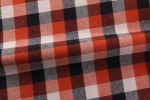 Two-Tone Gingham