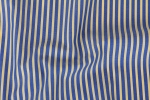 Blue and Yellow Stripes