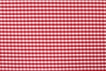 Red Large Gingham