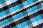 Blue and Black Check