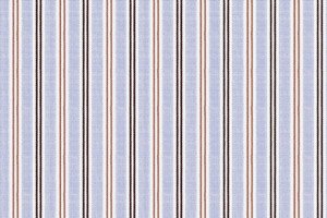 Wide Multi Stripes